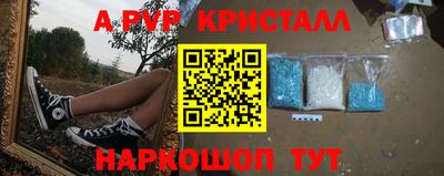 дживик Кингисепп