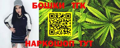 дживик Кингисепп