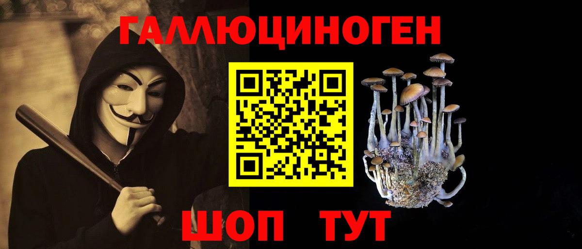 Галлюциногенные грибы Cubensis Кингисепп