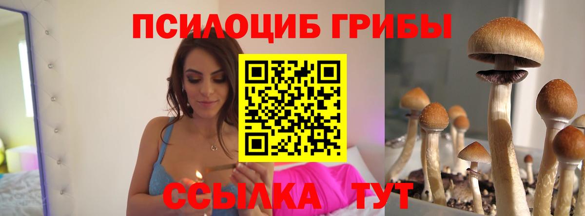 Кингисепп  сколько стоит  Вход с VPN  Псилоцибиновые грибы ЛСД 